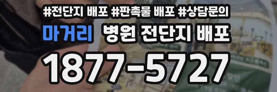 마거리 병원 전단지 배포