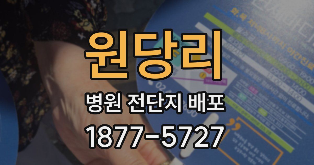 원당리 병원 전단지 배포