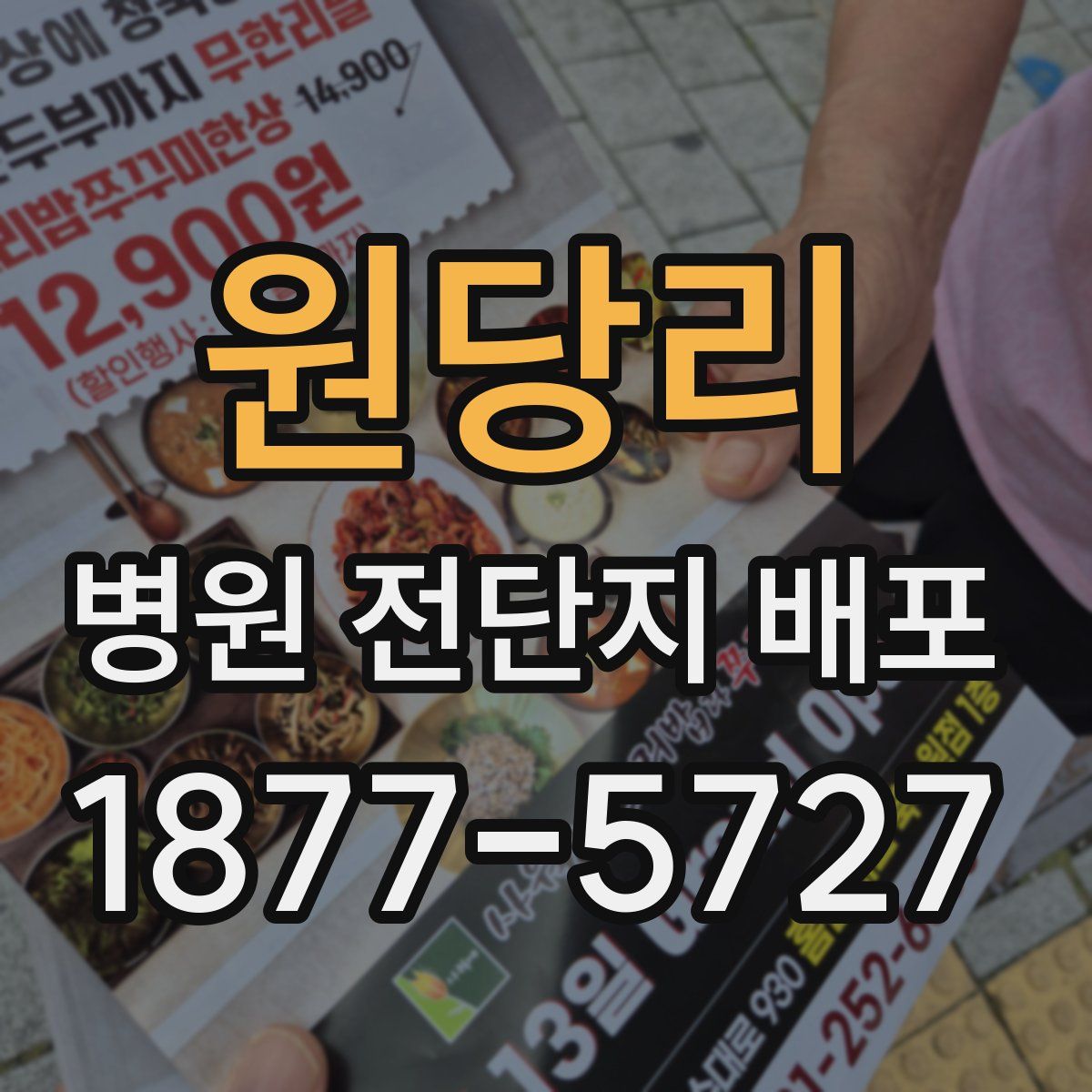 원당리 병원 전단지 배포