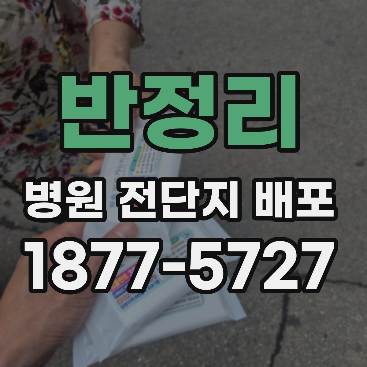 반정리 병원 전단지 배포