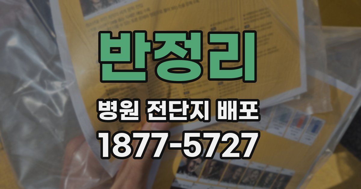 반정리 병원 전단지 배포