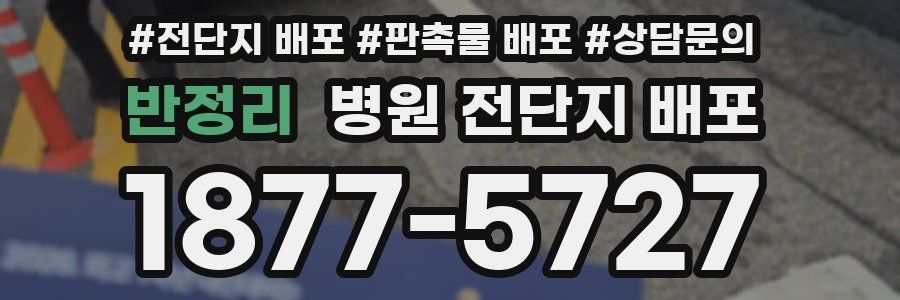 반정리 병원 전단지 배포