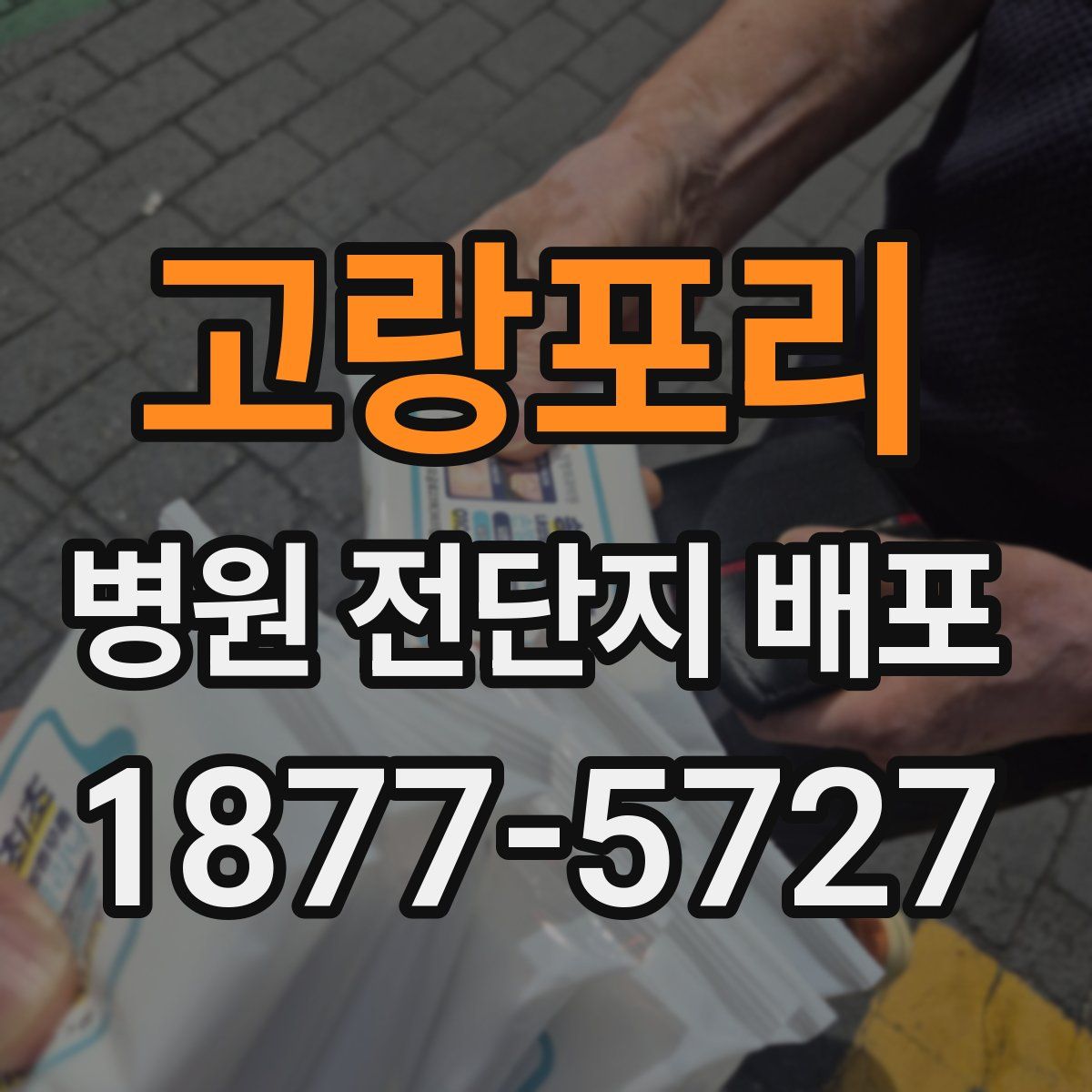 고랑포리 병원 전단지 배포