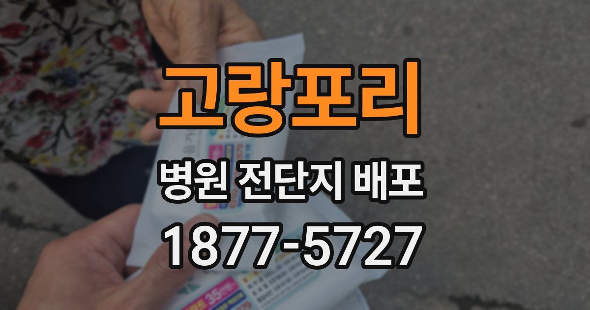 고랑포리 병원 전단지 배포
