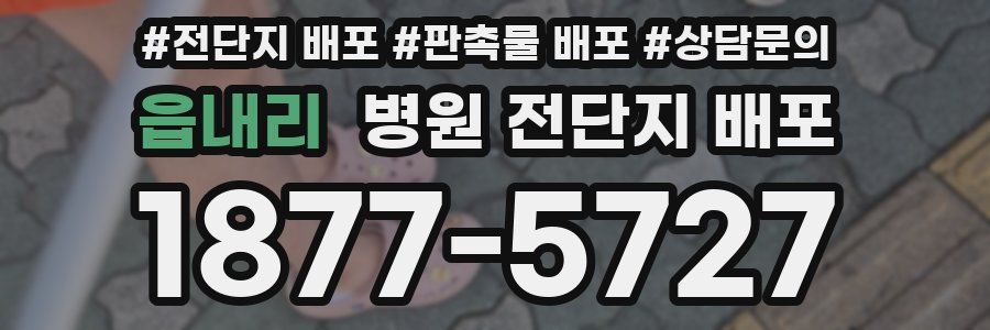 읍내리 병원 전단지 배포