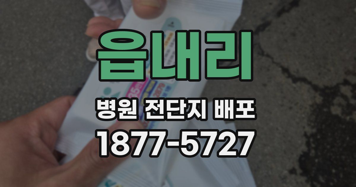 읍내리 병원 전단지 배포