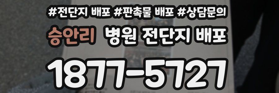 승안리 병원 전단지 배포