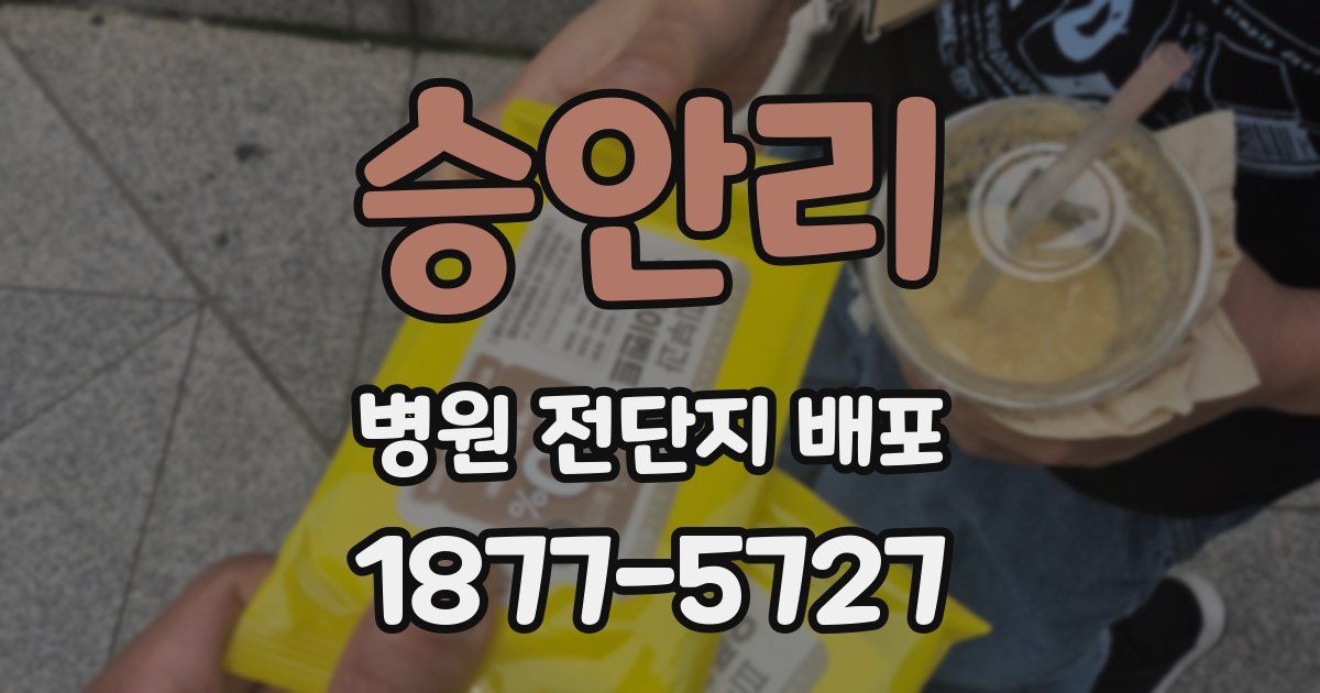 승안리 병원 전단지 배포