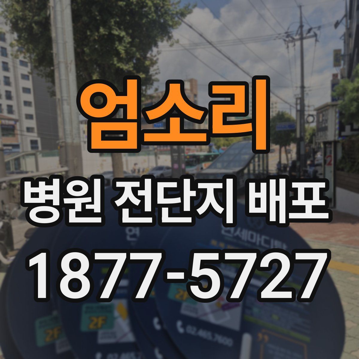엄소리 병원 전단지 배포