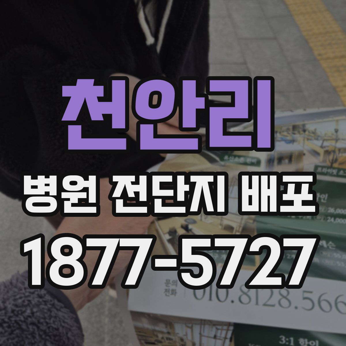 천안리 병원 전단지 배포