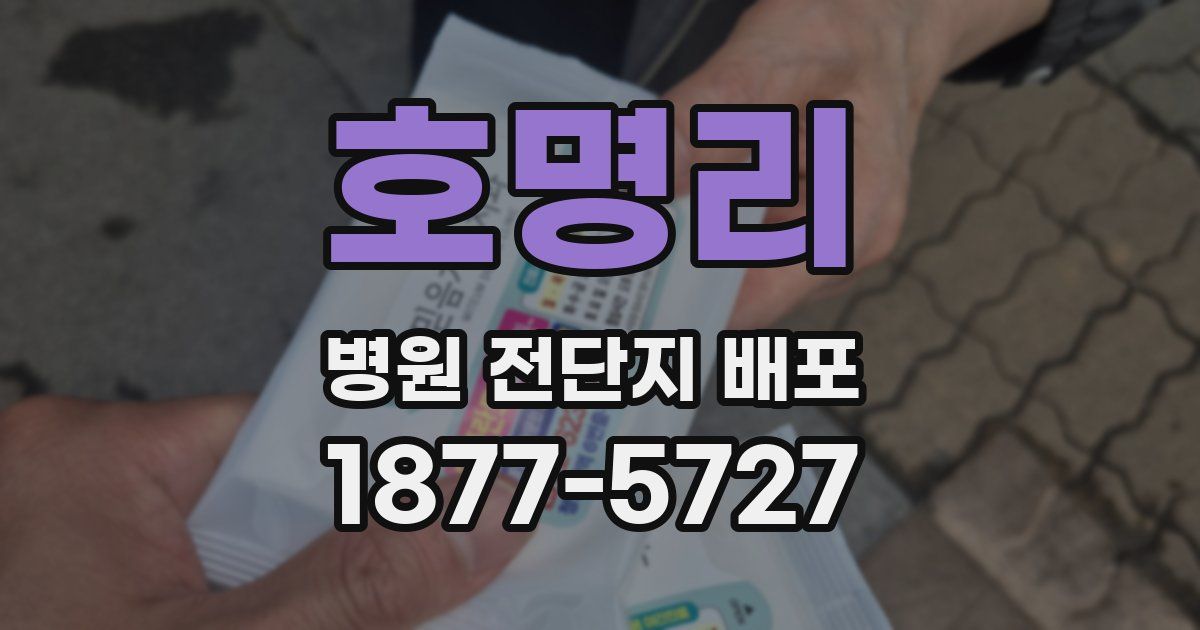 호명리 병원 전단지 배포