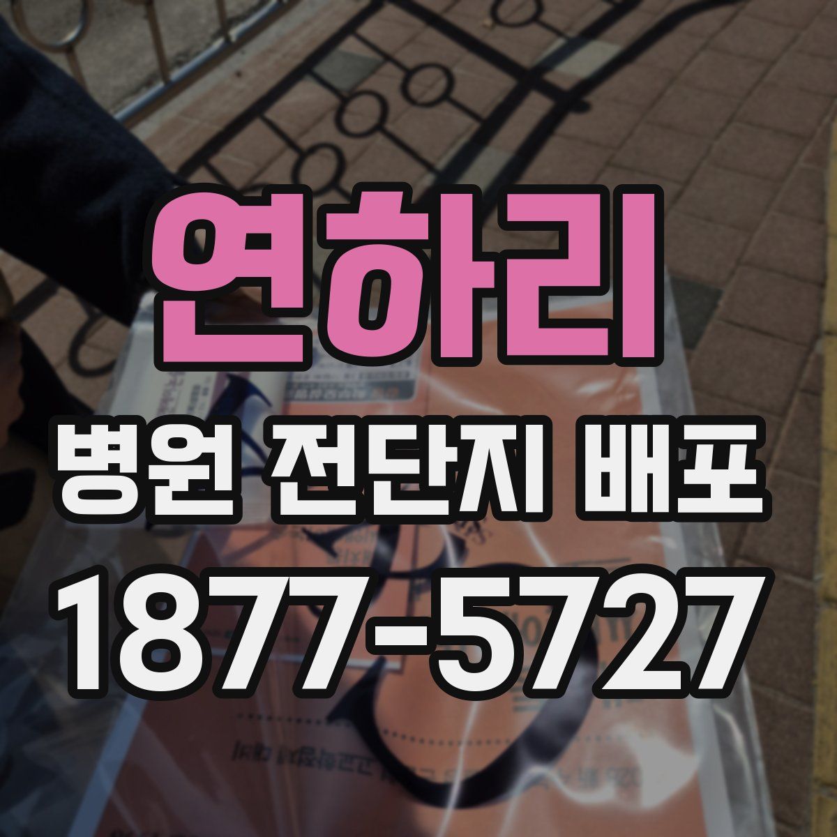 연하리 병원 전단지 배포