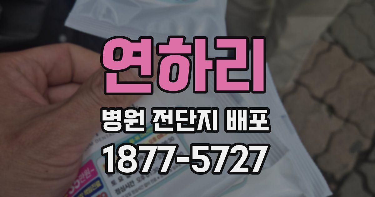 연하리 병원 전단지 배포