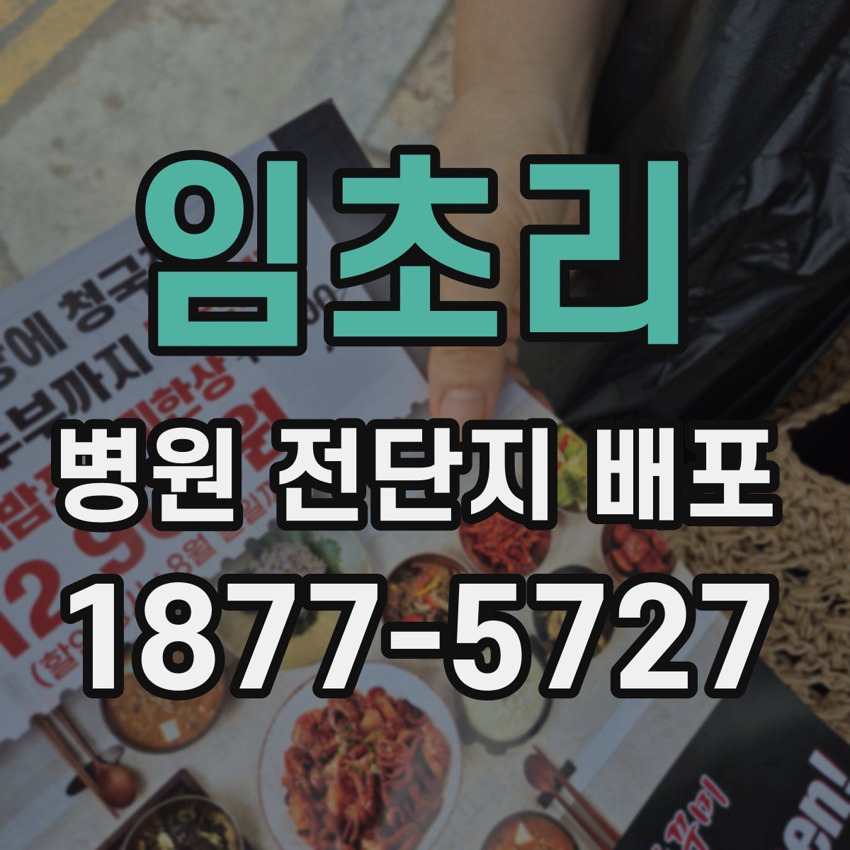 임초리 병원 전단지 배포