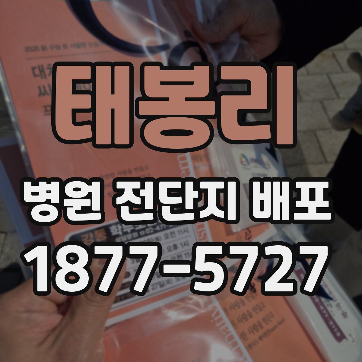 태봉리 병원 전단지 배포