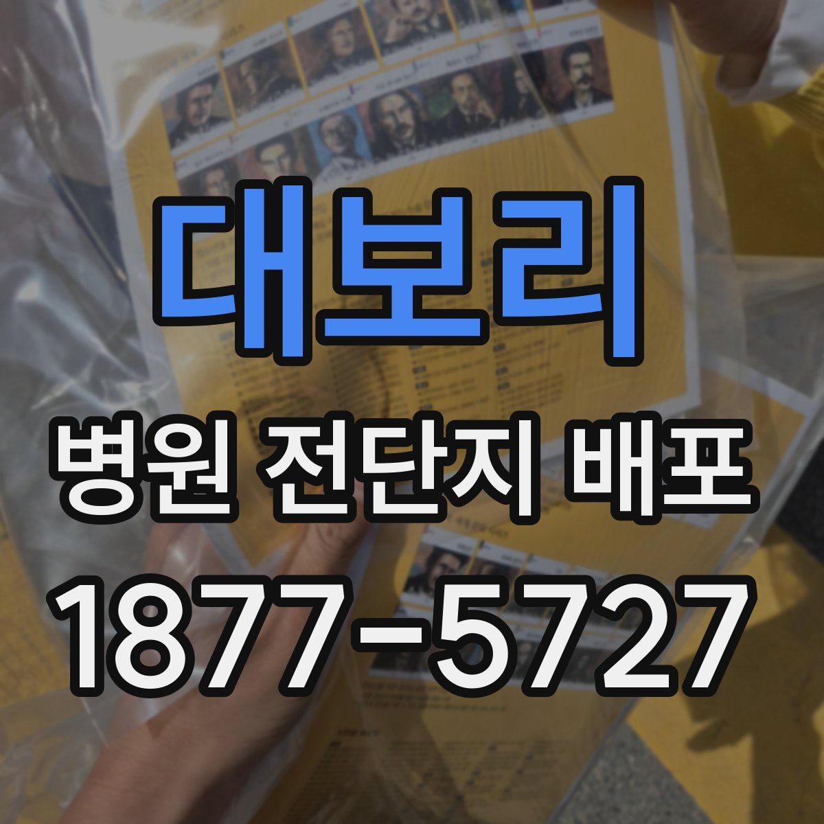대보리 병원 전단지 배포