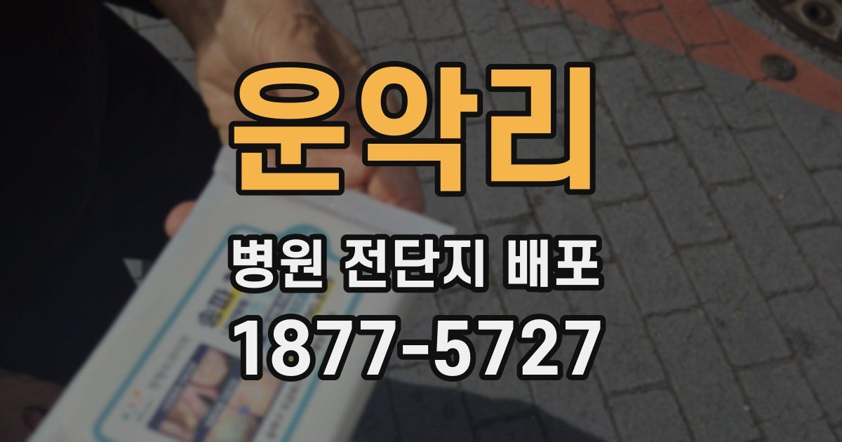 운악리 병원 전단지 배포