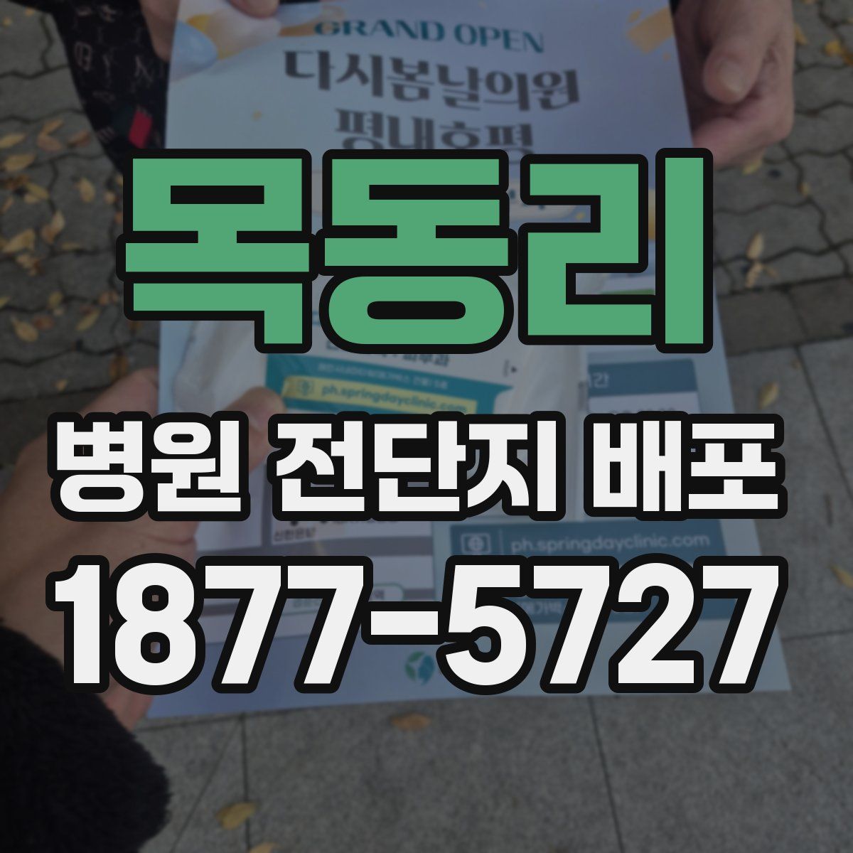 목동리 병원 전단지 배포