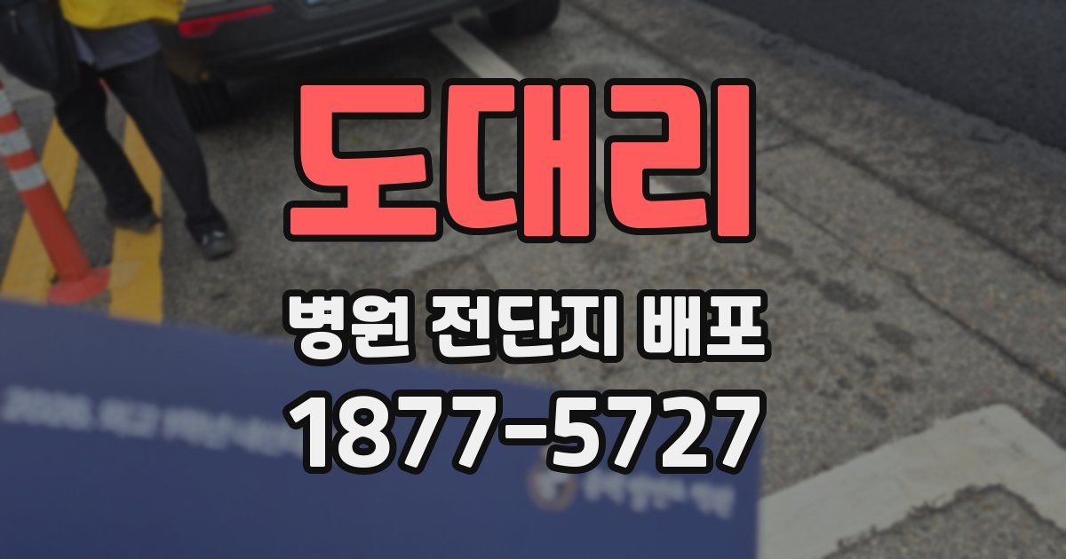도대리 병원 전단지 배포