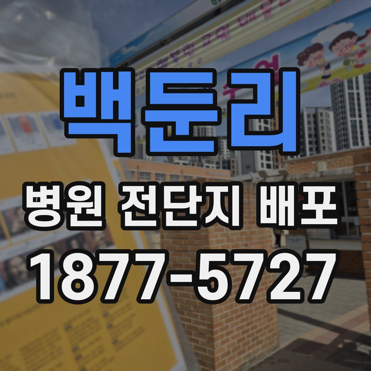 백둔리 병원 전단지 배포