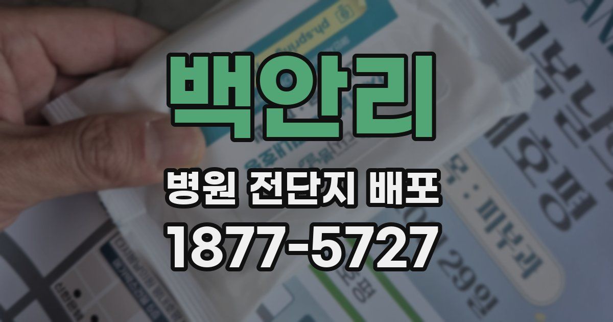 백안리 병원 전단지 배포