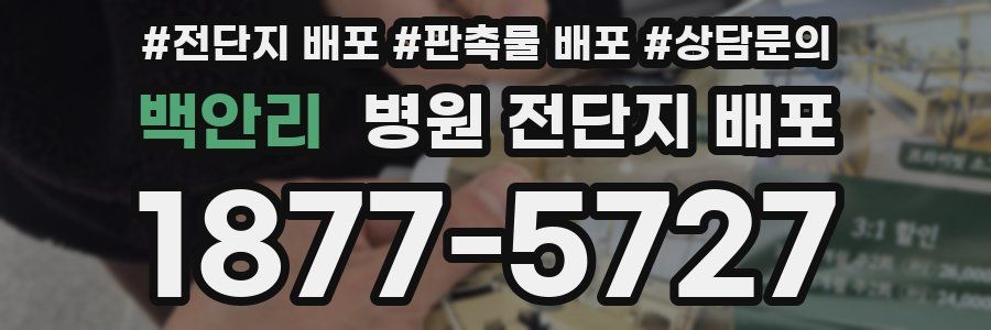 백안리 병원 전단지 배포