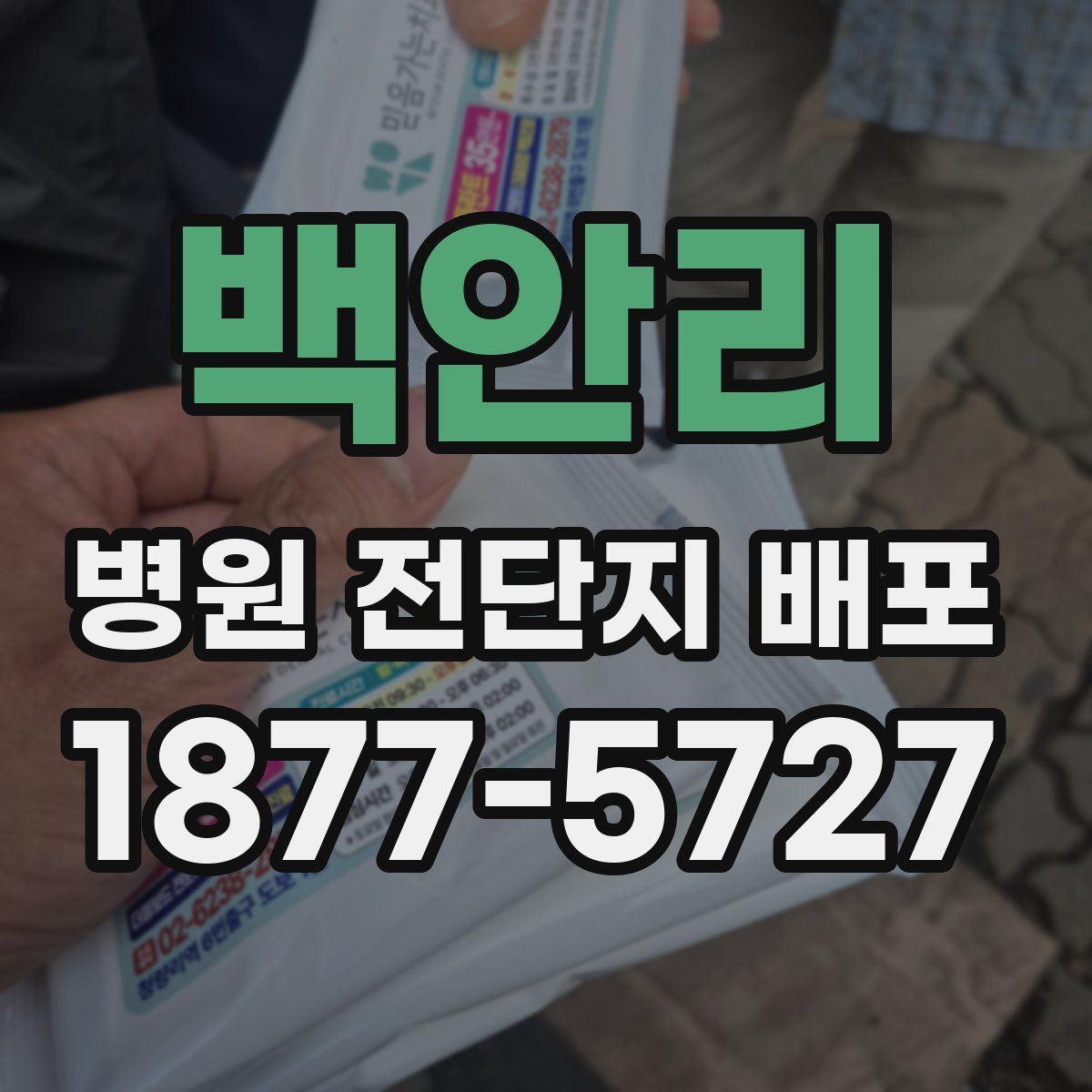 백안리 병원 전단지 배포