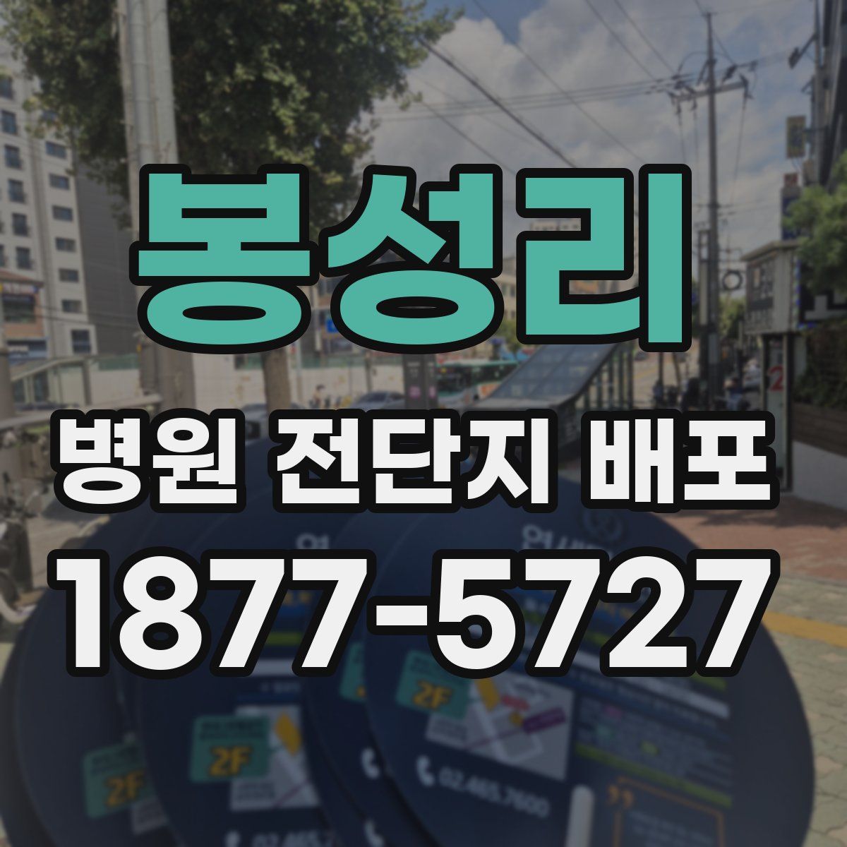 봉성리 병원 전단지 배포