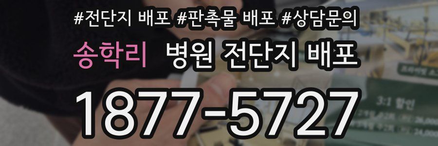 송학리 병원 전단지 배포