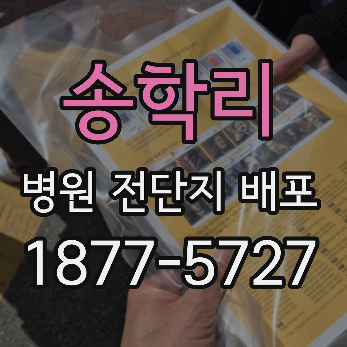 송학리 병원 전단지 배포