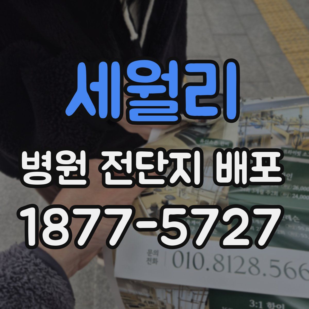 세월리 병원 전단지 배포