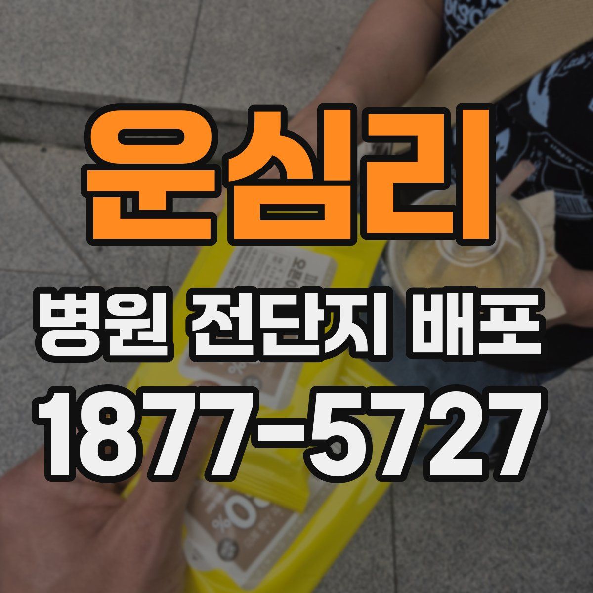 운심리 병원 전단지 배포