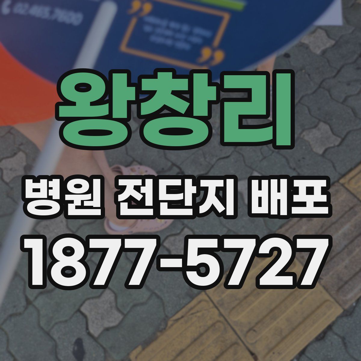 왕창리 병원 전단지 배포