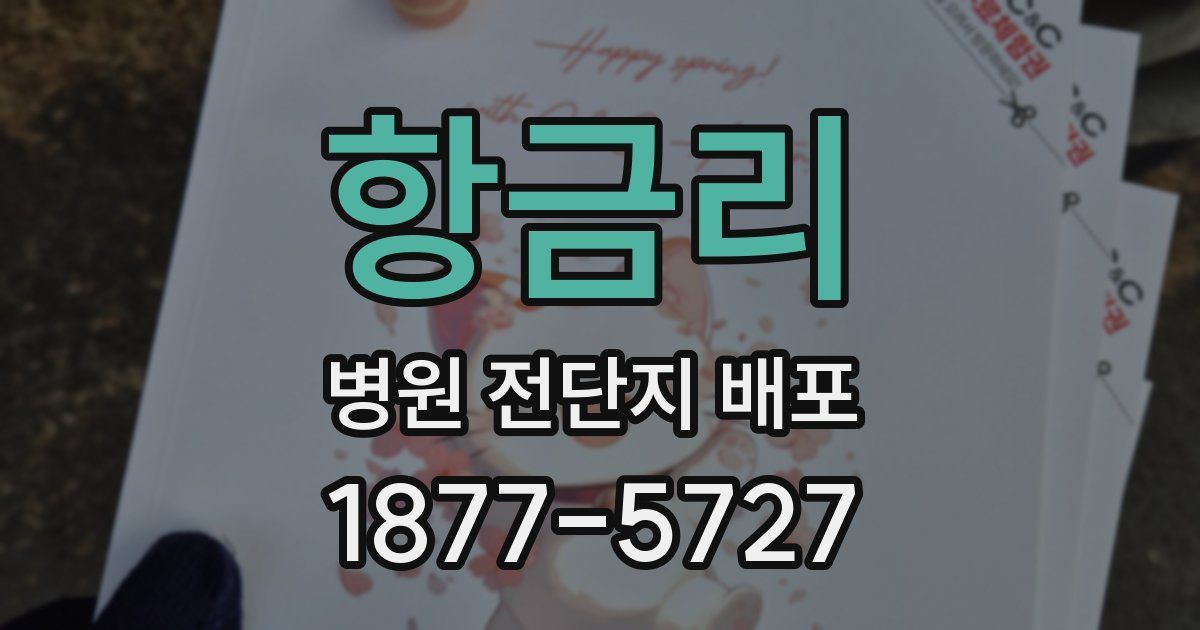 항금리 병원 전단지 배포