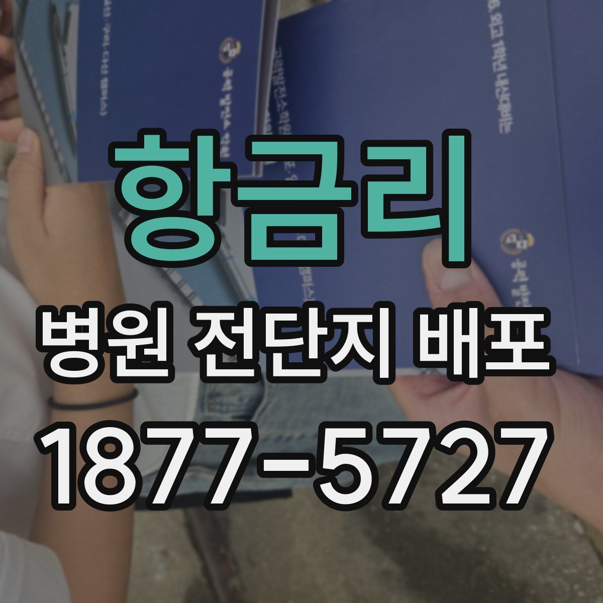 항금리 병원 전단지 배포