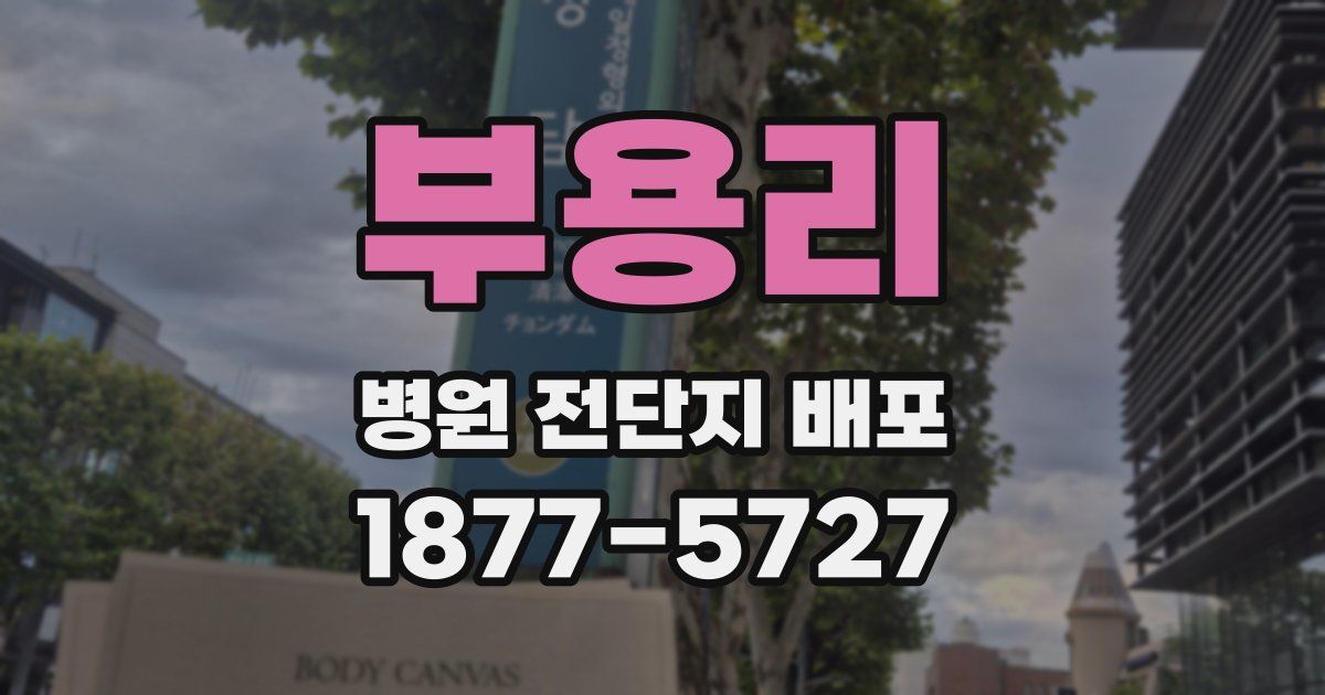 부용리 병원 전단지 배포