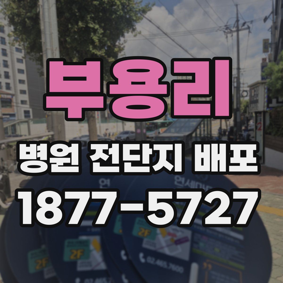 부용리 병원 전단지 배포