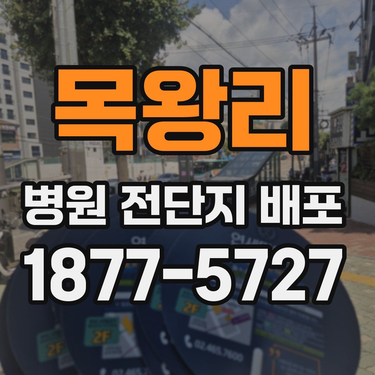 목왕리 병원 전단지 배포