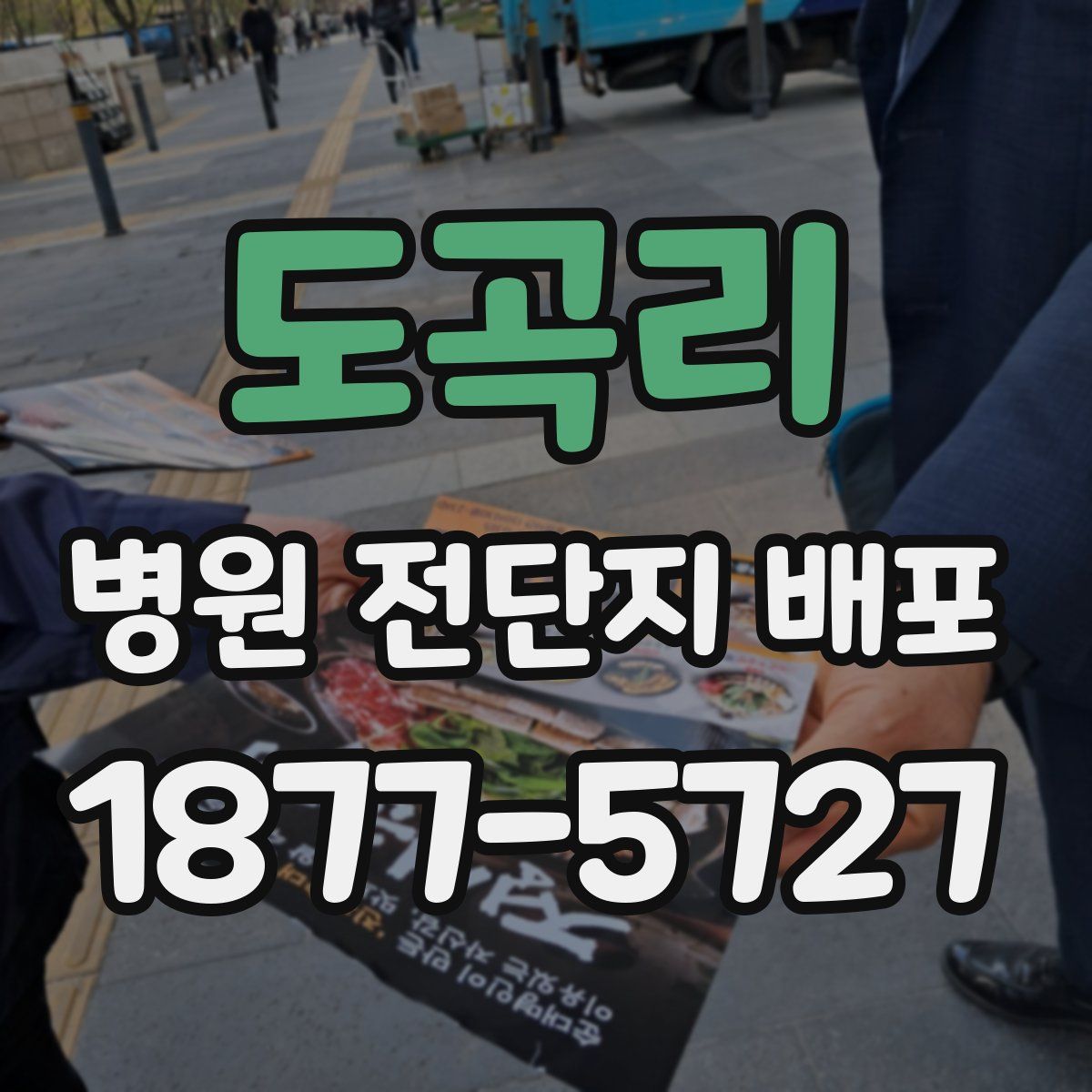 도곡리 병원 전단지 배포