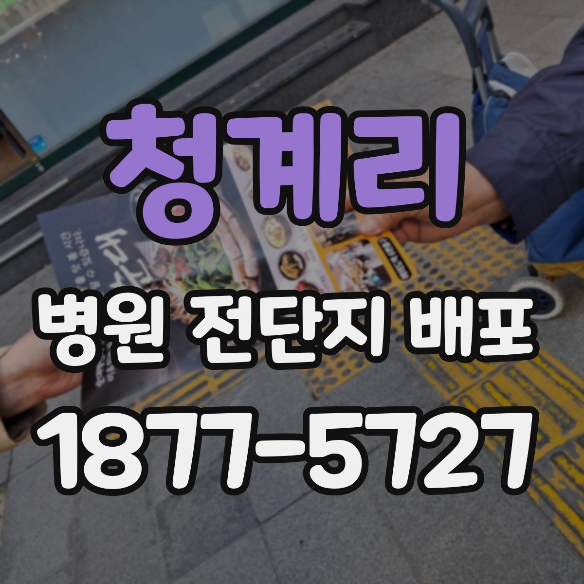 청계리 병원 전단지 배포