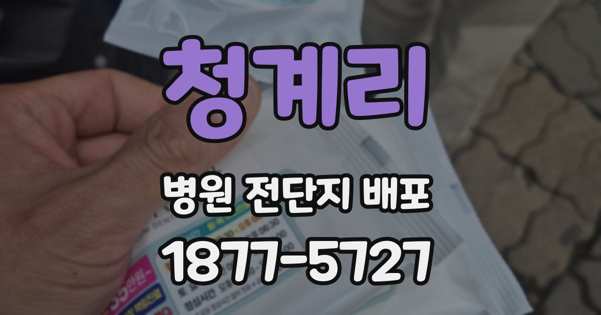 청계리 병원 전단지 배포