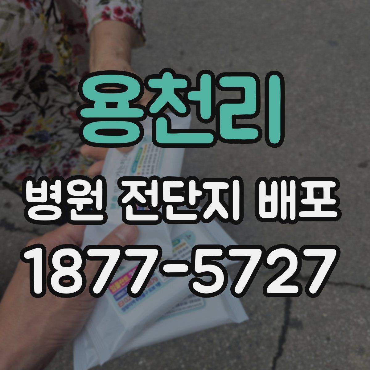 용천리 병원 전단지 배포