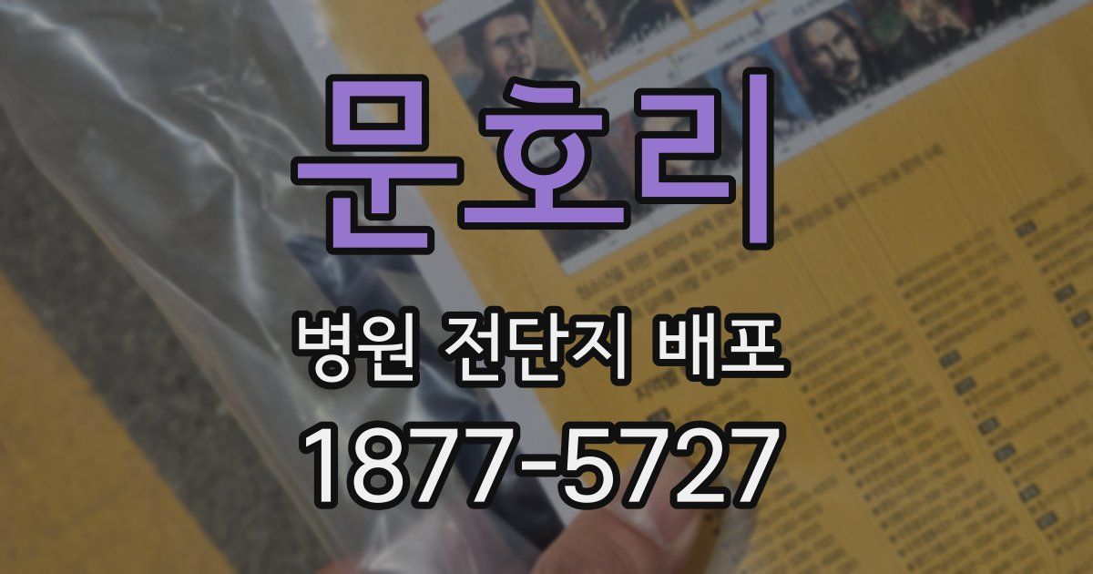 문호리 병원 전단지 배포