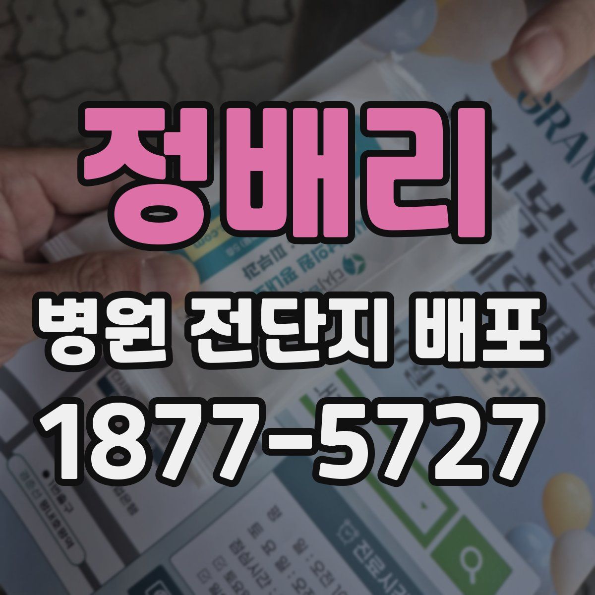 정배리 병원 전단지 배포