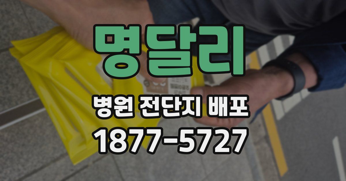 명달리 병원 전단지 배포