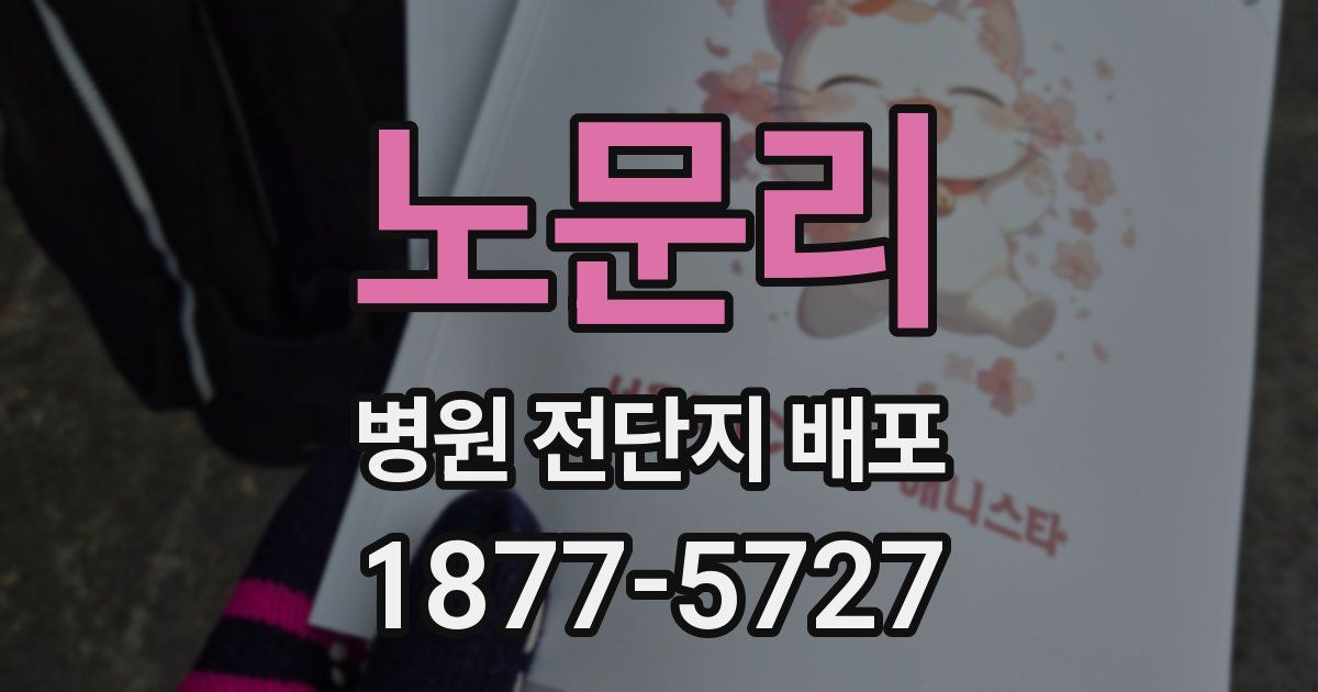 노문리 병원 전단지 배포