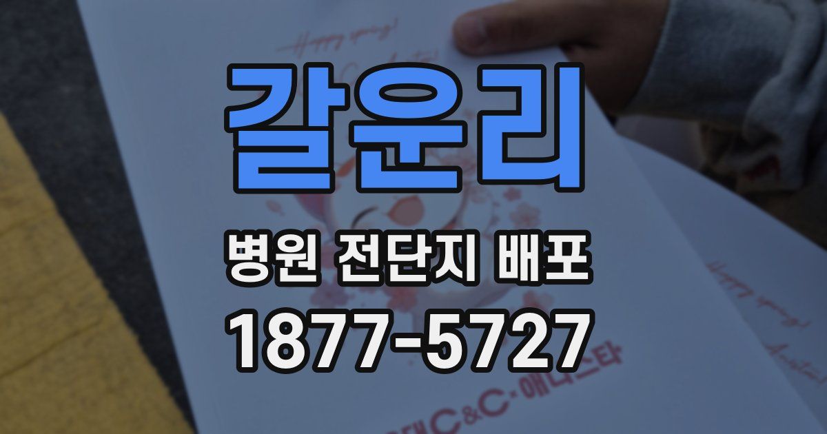 갈운리 병원 전단지 배포