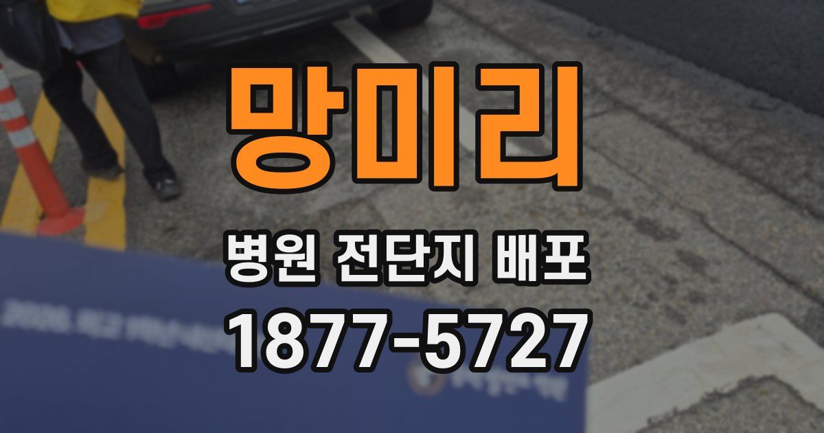 망미리 병원 전단지 배포