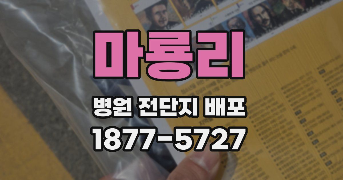 마룡리 병원 전단지 배포