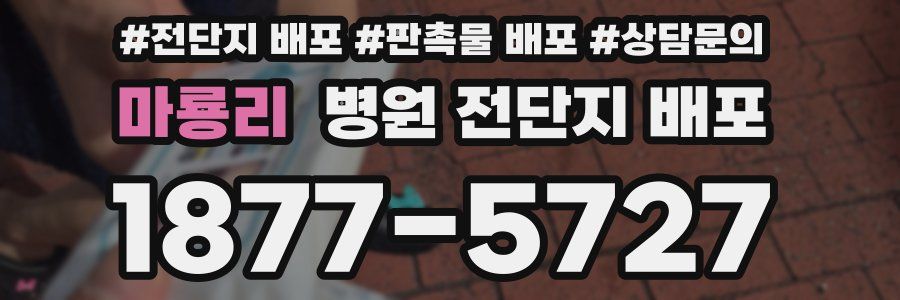마룡리 병원 전단지 배포